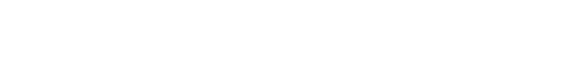 Animo Studios logo