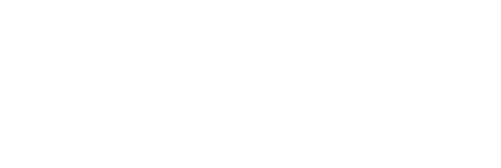 Penguin King logo