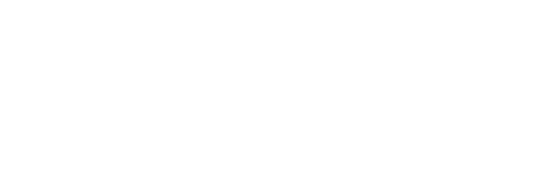 Swintt logo